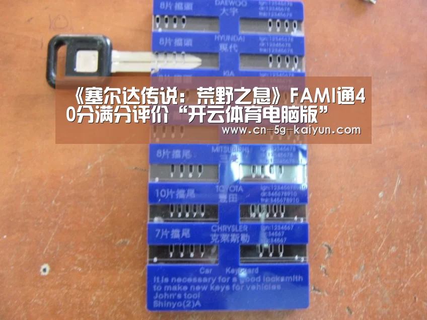 《塞尔达传说:荒野之息》FAMI通40分满分评价“开云体育电脑版”(图1) 开云app官网