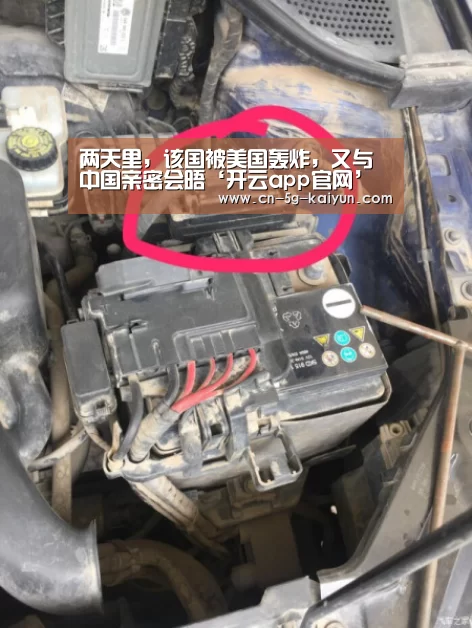 开云app官网