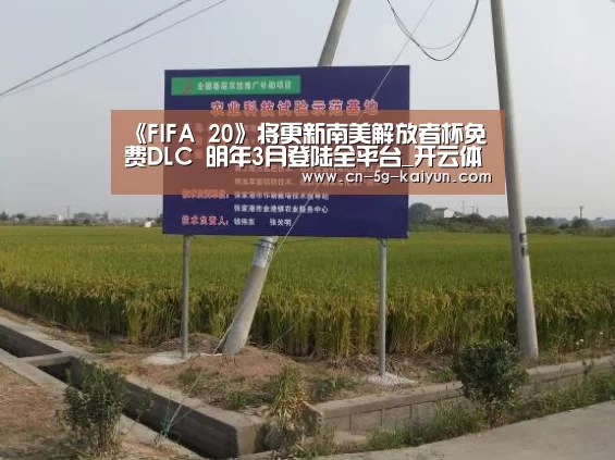 开云app官网